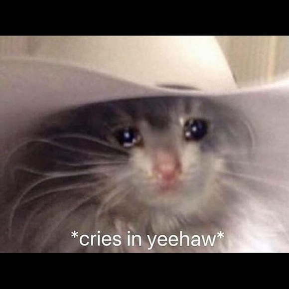 Meet your Posher, Kat - Picture 4 of 7